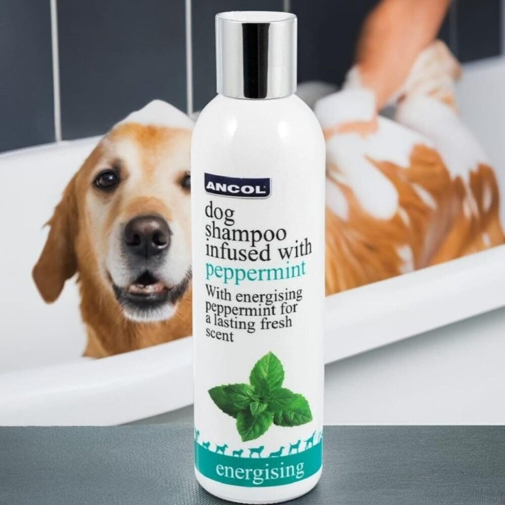 Peppermint Dog Shampoo – Puppy Safe, SLS & Paraben Free, Essential Oils